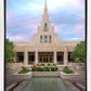 Phoenix Temple Cultivating Goodness