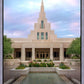 Phoenix Temple Cultivating Goodness
