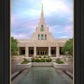 Phoenix Temple Cultivating Goodness
