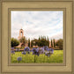 Newport Beach California Blooming Afternoon