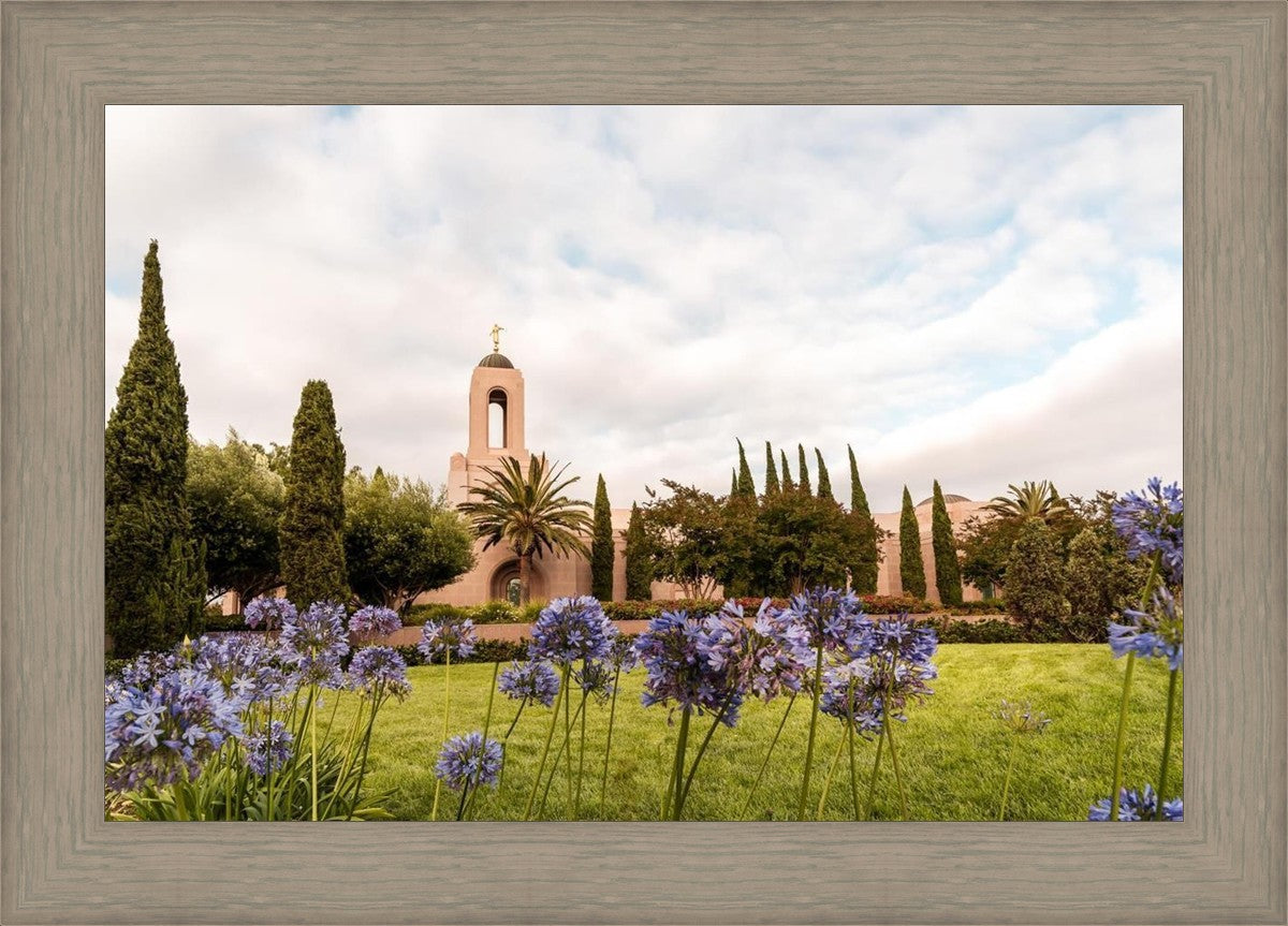 Newport Beach California Blooming Afternoon
