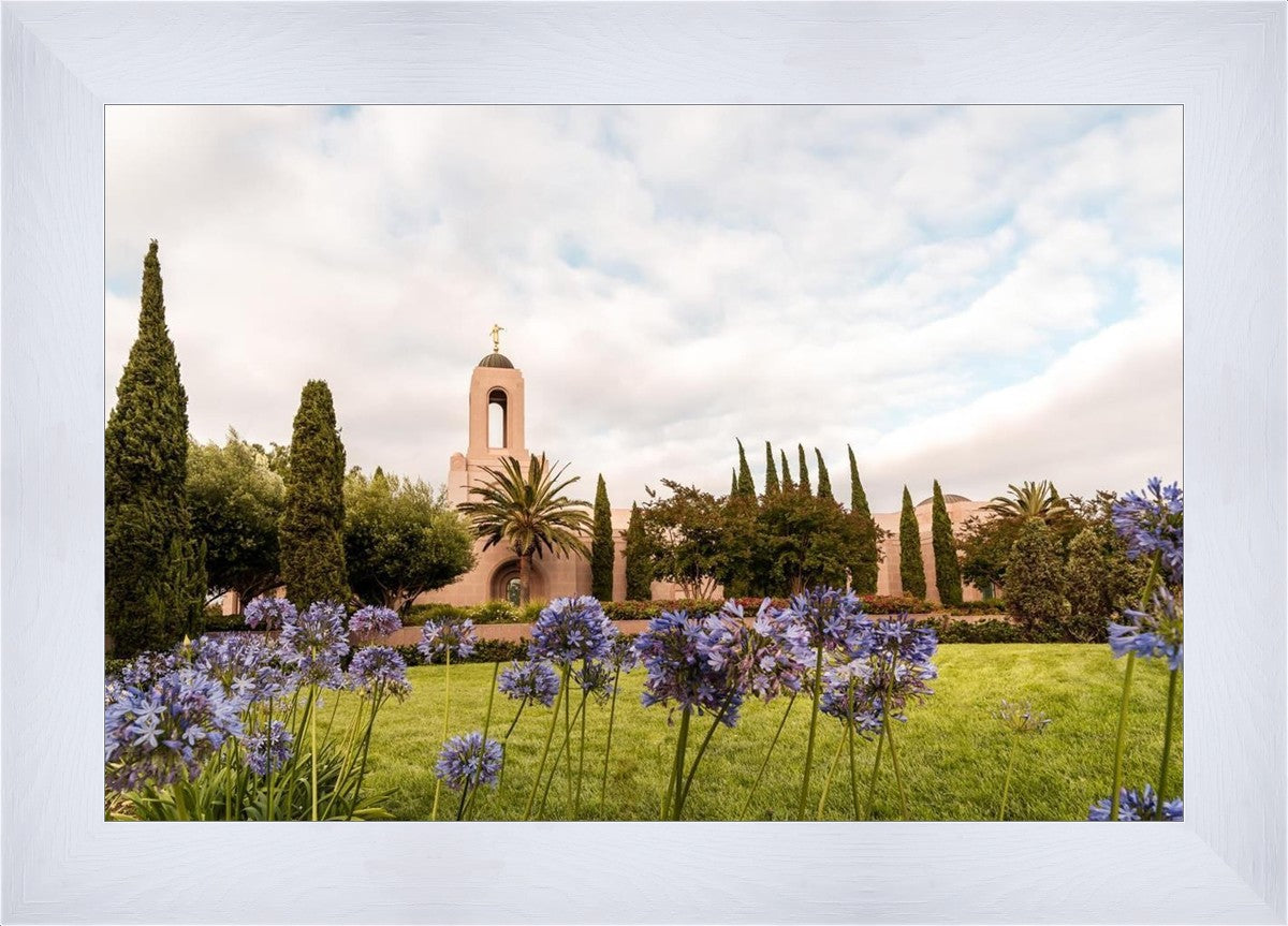 Newport Beach California Blooming Afternoon