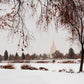 Fall After the Storm