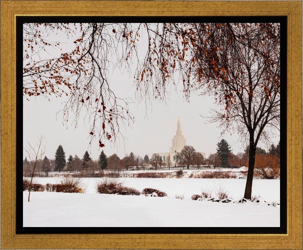 Fall After the Storm