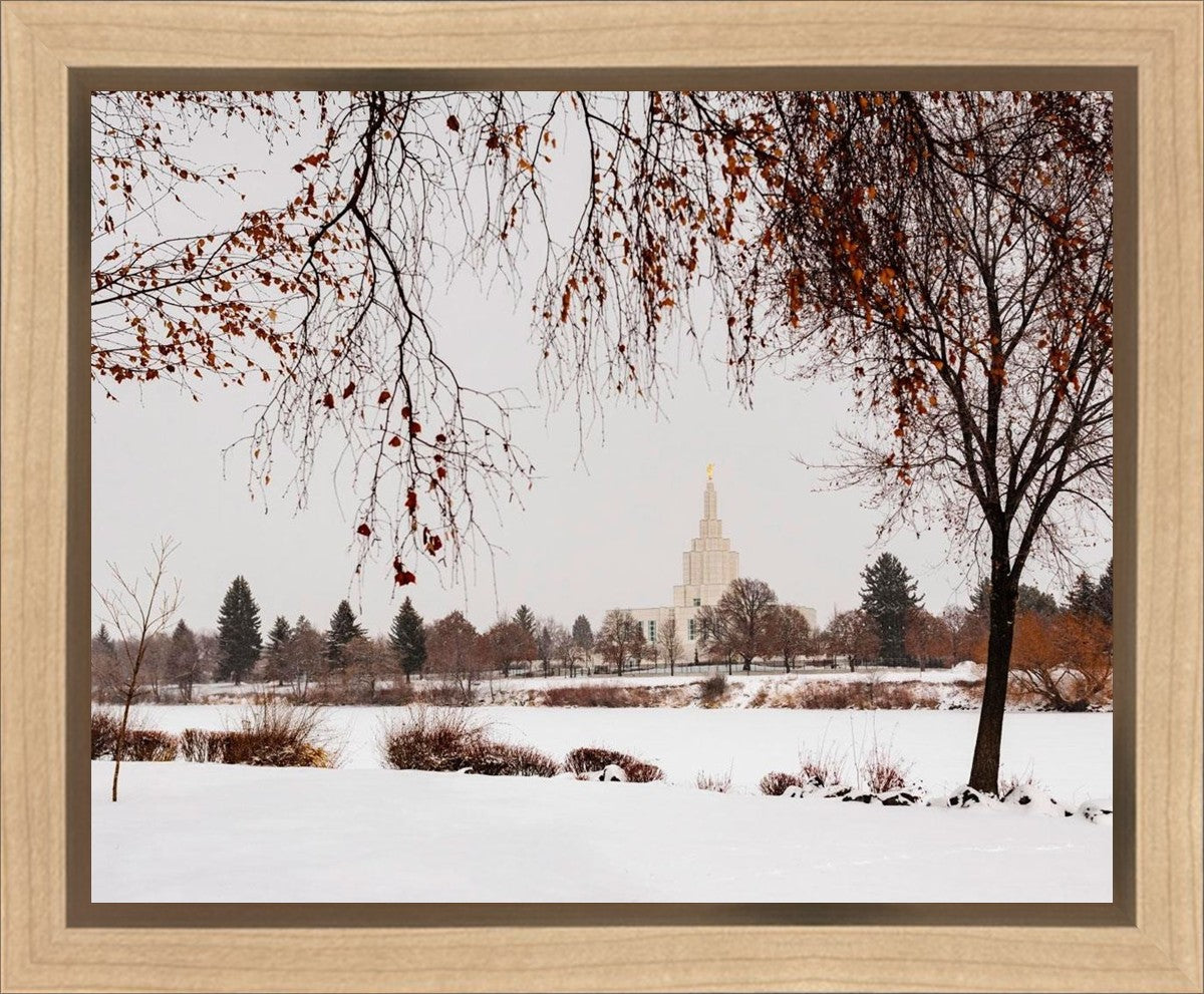 Fall After the Storm