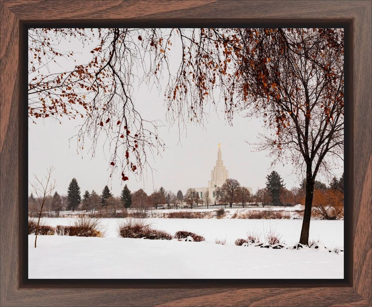 Fall After the Storm