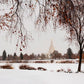 Fall After the Storm