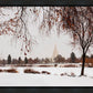Fall After the Storm