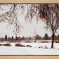 Fall After the Storm