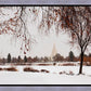 Fall After the Storm