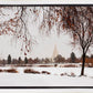Fall After the Storm