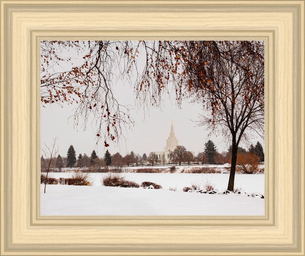 Fall After the Storm