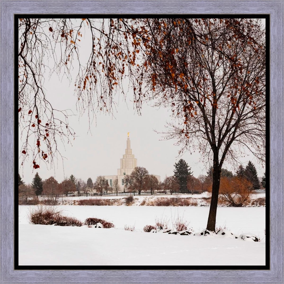 Fall After the Storm