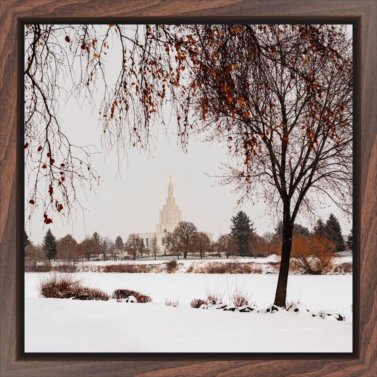 Fall After the Storm