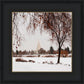 Fall After the Storm