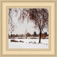 Fall After the Storm
