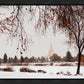 Fall After the Storm