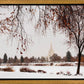Fall After the Storm