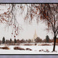 Fall After the Storm