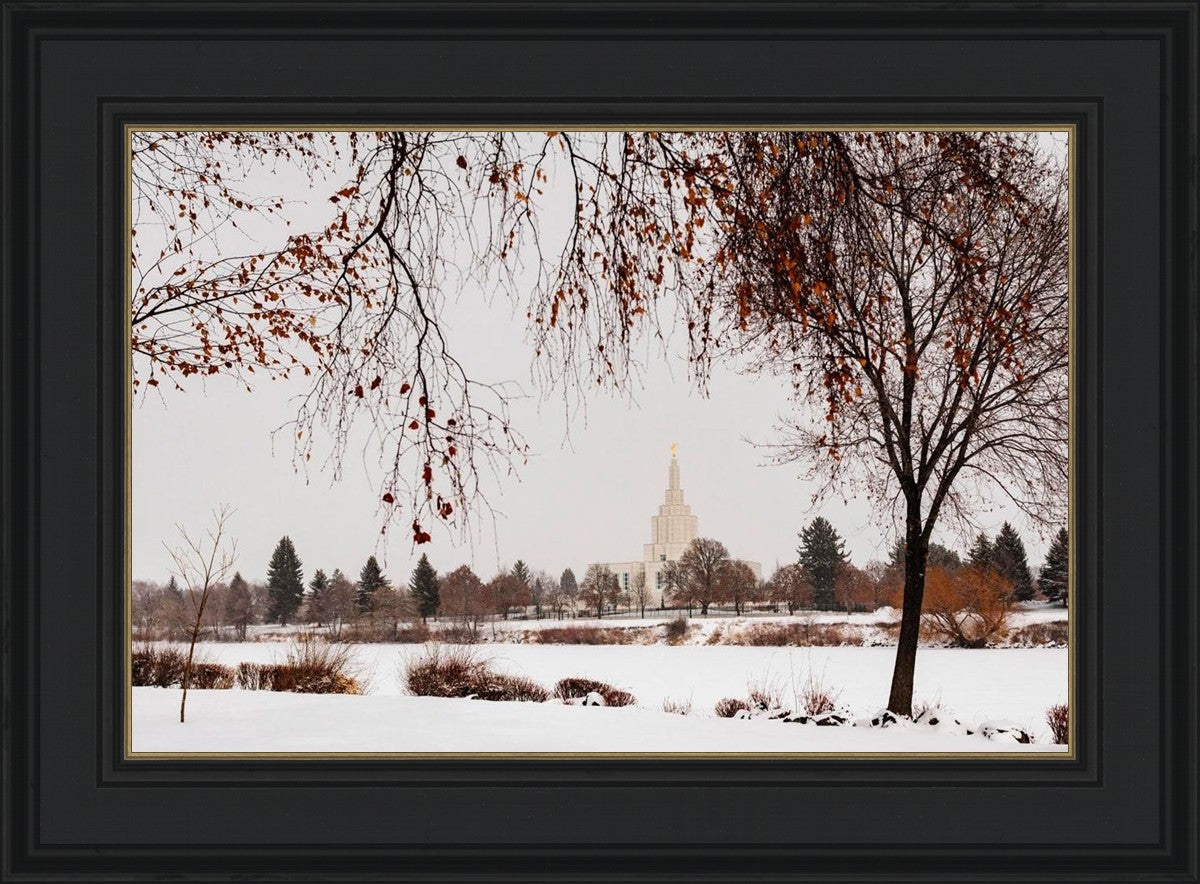 Fall After the Storm