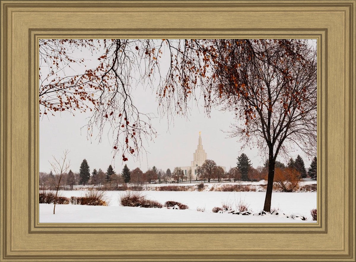 Fall After the Storm