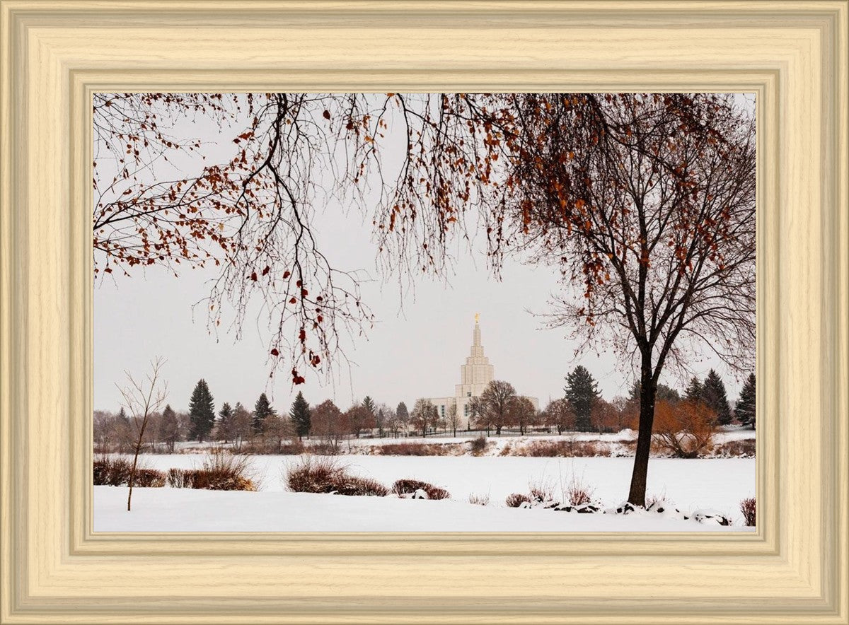 Fall After the Storm