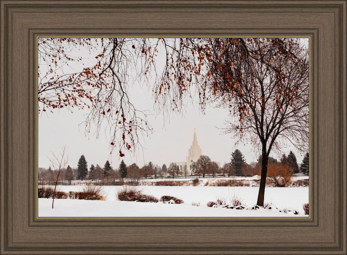 Fall After the Storm