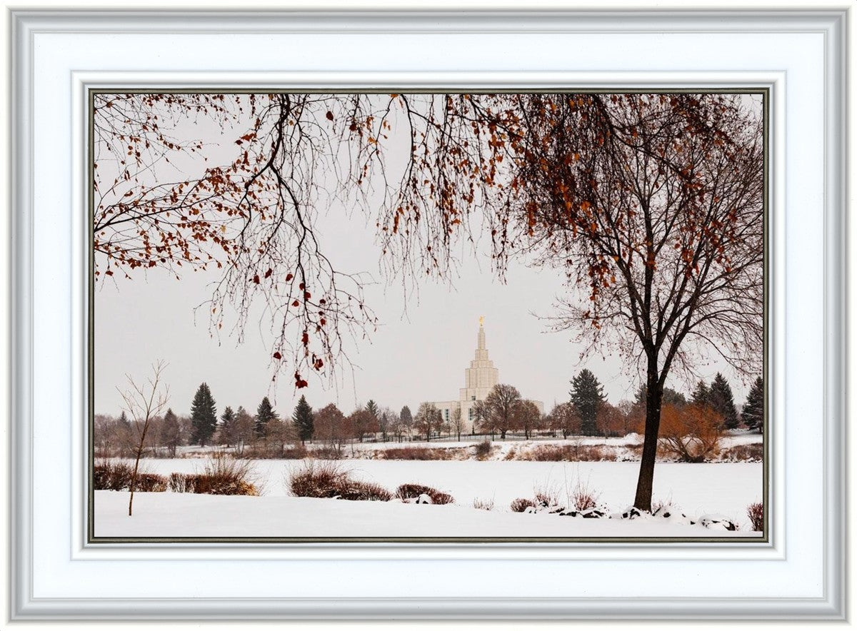 Fall After the Storm
