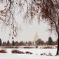 Fall After the Storm