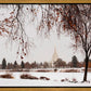 Fall After the Storm