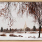 Fall After the Storm