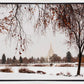 Fall After the Storm