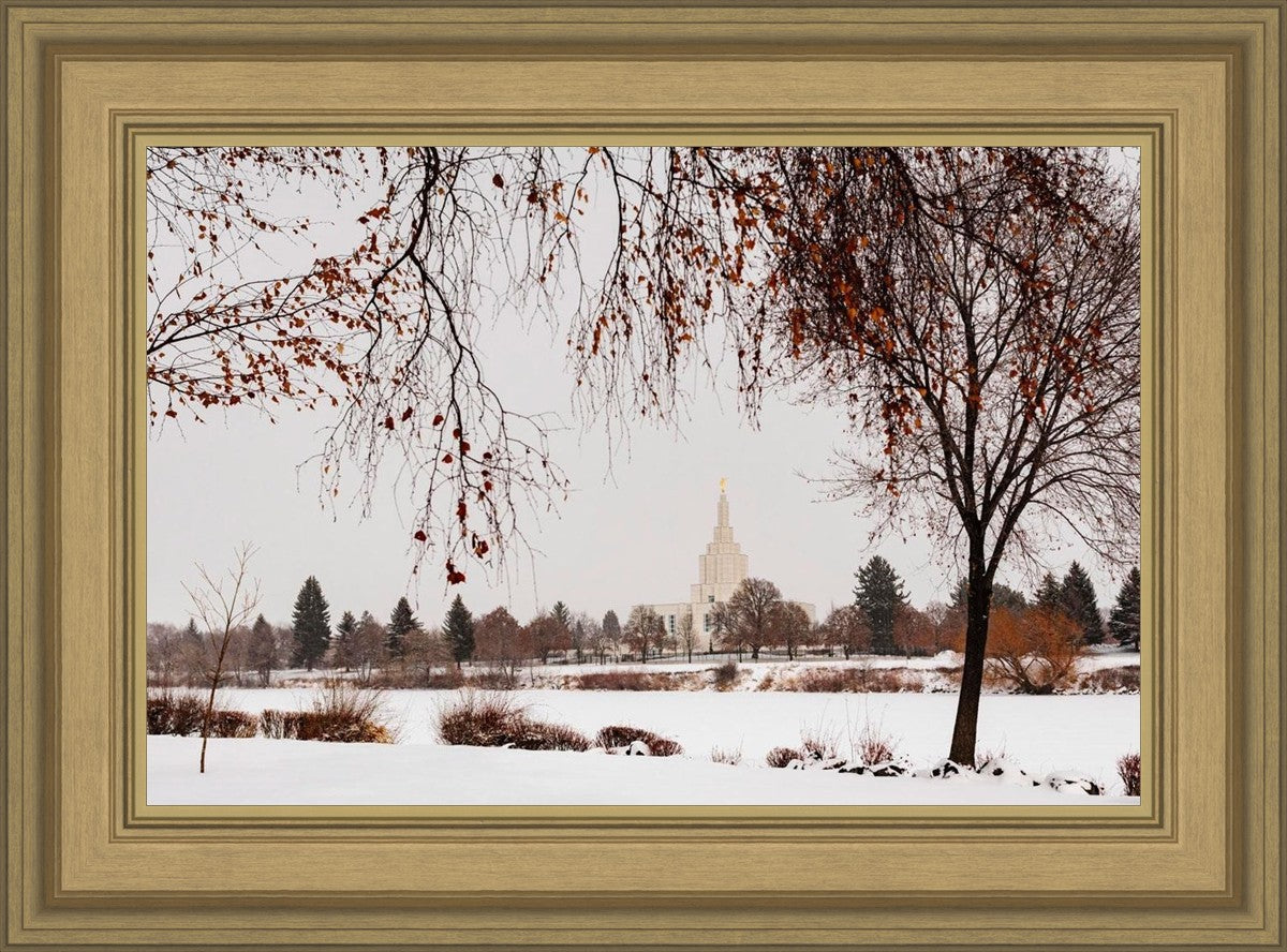 Fall After the Storm