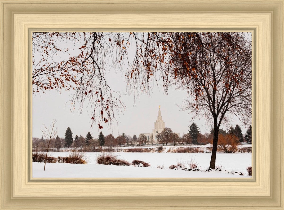 Fall After the Storm