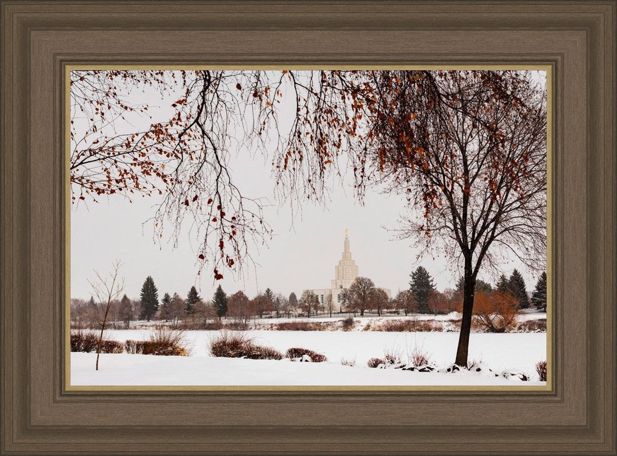 Fall After the Storm