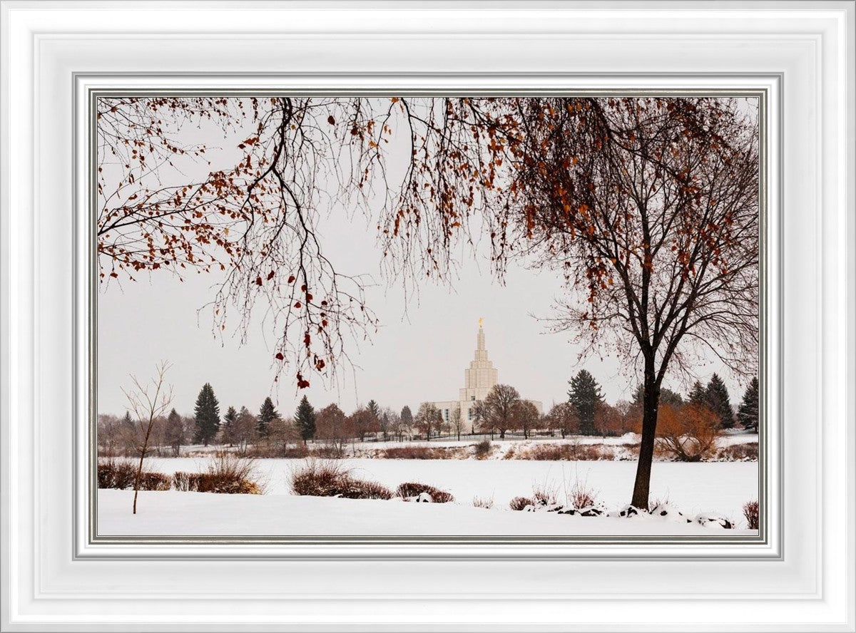 Fall After the Storm