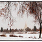Fall After the Storm