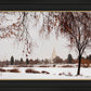 Fall After the Storm