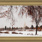 Fall After the Storm