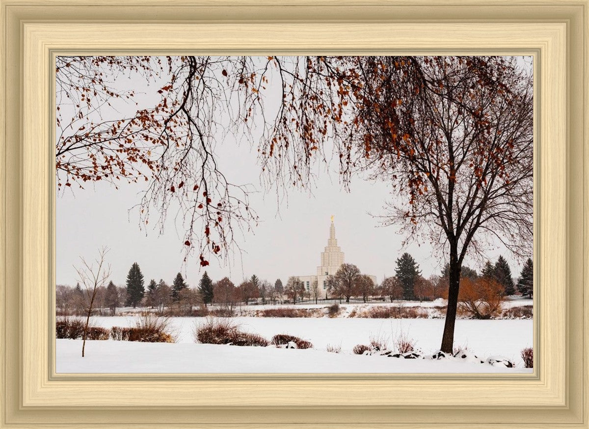 Fall After the Storm