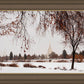 Fall After the Storm
