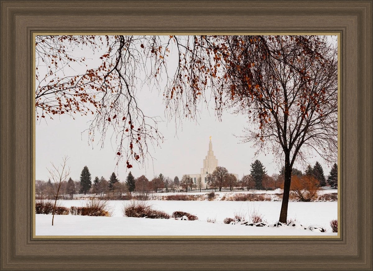 Fall After the Storm