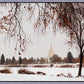 Fall After the Storm