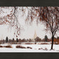 Fall After the Storm