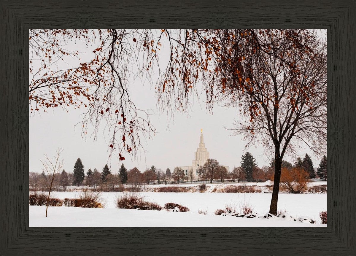 Fall After the Storm