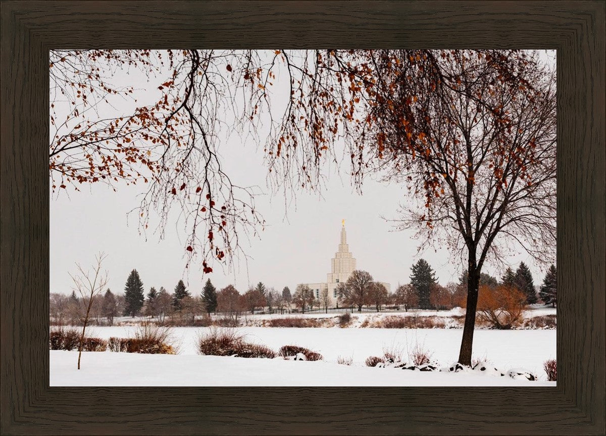 Fall After the Storm