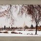 Fall After the Storm