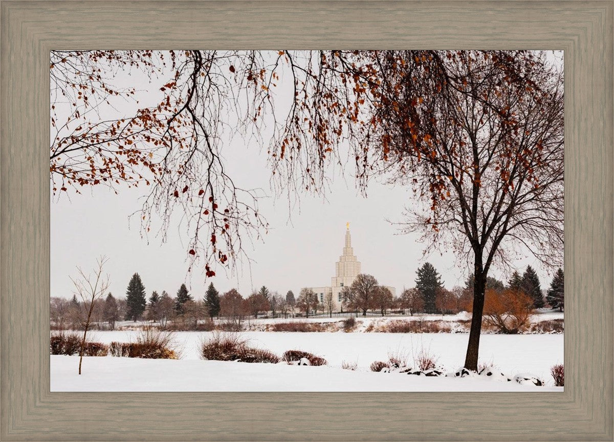 Fall After the Storm