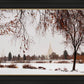 Fall After the Storm