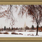 Fall After the Storm
